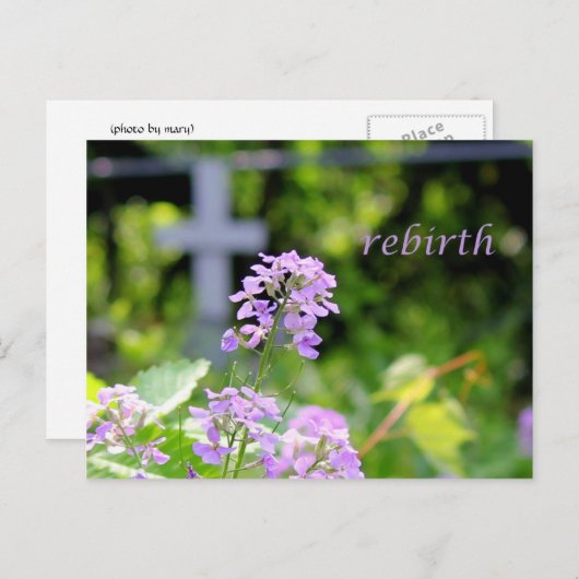 Wiedergeburt Postkarte (Vorne/Hinten)