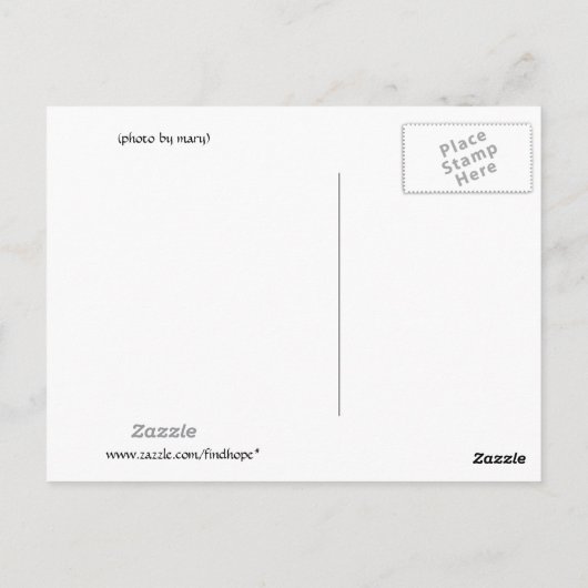 Wiedergeburt Postkarte (Rückseite)