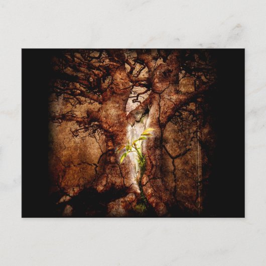 Wiederherstellung der desolaten Jahre Postkarte (Vorderseite)