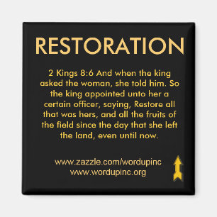 Wiederherstellungs-Magnet Magnet