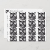 Wiederholte schwarze und weiße Katze Postkarte - S (Vorne/Hinten)