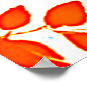 Wiederholung der Chromatie Poster (Ecke)