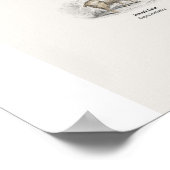 Wiederkäuer - Naturalist's Library Poster (Ecke)