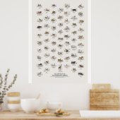 Wiederkäuer - Naturalist's Library Poster (Küche)