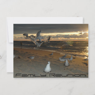 Wiedersehen auf der Beach Seagull Abend Sunset Einladung