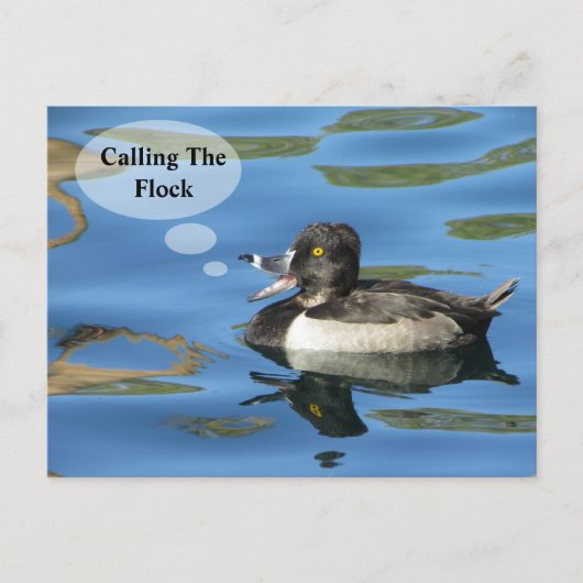 Wiedersehen, die die Ankündigung der Flock-Duck-In Postkarte (Vorderseite)
