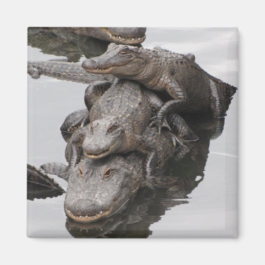 Wiedersehen Magnet (Vorne)