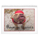 Wiedersehen-Rettungs-Gesang-Gruben-Stiere 2013 Kalender (Titelbild)