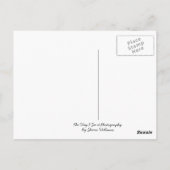 Wiedersehen-Turm Dallas, TX Postkarte (Rückseite)