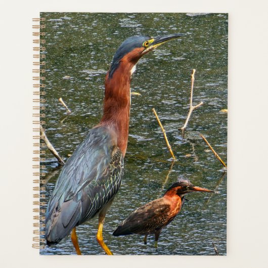 Wiederverwendbare Einkaufstasche Green Heron Planer (Vorderseite)
