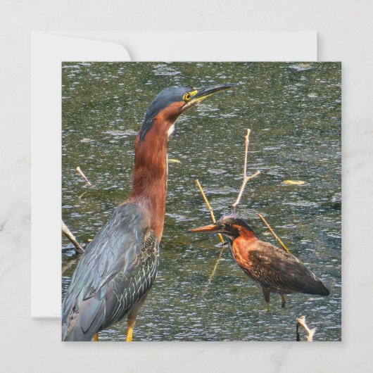 Wiederverwendbare Einkaufstasche Grüner Reiher Save The Date (Vorderseite)