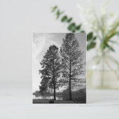 Wien Maryland Postkarte (Stehend Vorderseite)