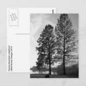 Wien Maryland Postkarte (Vorne/Hinten)