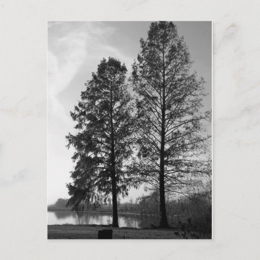 Wien Maryland Postkarte (Vorderseite)