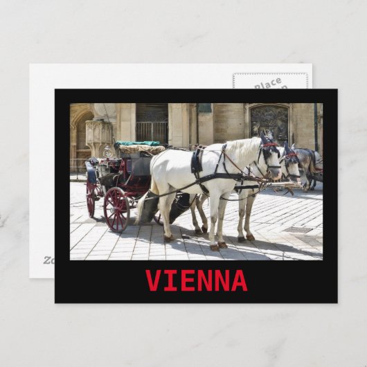 Wiener Fiaker mit weißen Pferden - Postkarte (Vorne/Hinten)