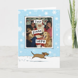 Wiener-Hund Weihnachten Ihr Foto Süßer Dachshu
