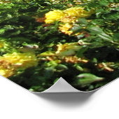 Wiener Volksgarten mit Rose Poster (Ecke)