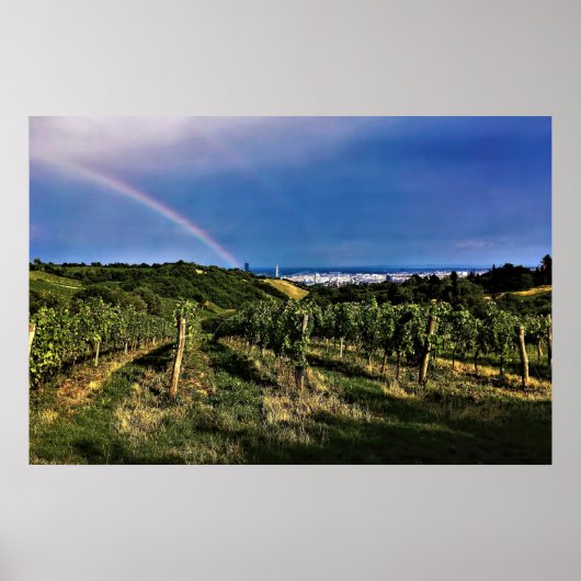 Wiener Weingarten Rainbow Poster (Vorne)