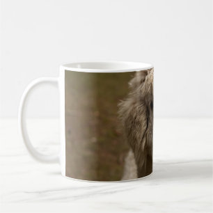 WIENNA WIEN ÖSTERREICH AUSTRIA ALPAKA LAMA ANIMAL  KAFFEETASSE