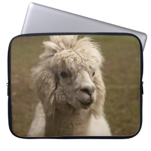 WIENNA WIEN ÖSTERREICH AUSTRIA ALPAKA LAMA ANIMAL LAPTOPSCHUTZHÜLLE