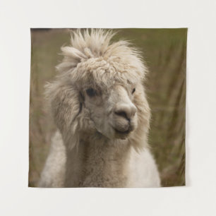 WIENNA WIEN ÖSTERREICH AUSTRIA ALPAKA LAMA ANIMAL  WANDTEPPICH