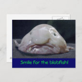 wieriger Fisch Postkarte (Vorne/Hinten)