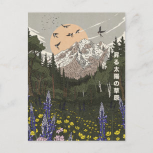 Wiese der aufgehenden Sonne Postkarte