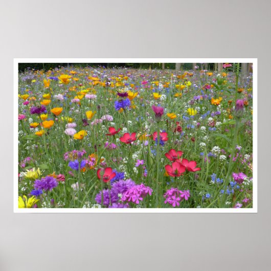 Wiese der Wildblumen Poster (Vorne)