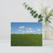 Wiese Landschaft Postkarte (Stehend Vorderseite)