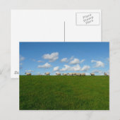 Wiese Landschaft Postkarte (Vorne/Hinten)