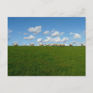 Wiese Landschaft Postkarte
