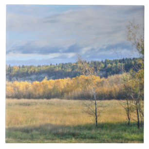 Wiese mit Aspens Fliese