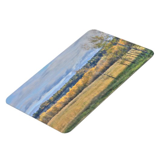 Wiese mit Aspens Magnet (Linke Seite)