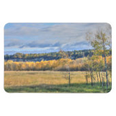 Wiese mit Aspens Magnet (Horizontal)