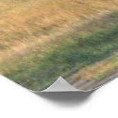 Wiese mit Aspens Poster (Ecke)