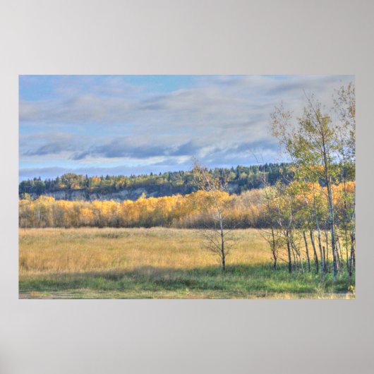 Wiese mit Aspens Poster (Vorne)