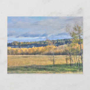 Wiese mit Aspens Postkarte