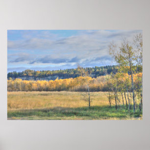 Wiese mit Espen Poster