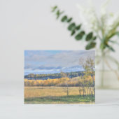 Wiese mit Espen Postkarte (Stehend Vorderseite)
