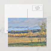 Wiese mit Espen Postkarte (Vorne/Hinten)