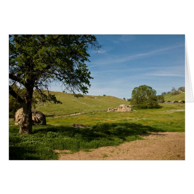 Wiese mit Live Oaks und Bouldern (Vorderseite (Horizontal))