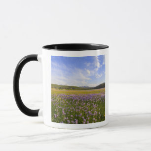 Wiese mit Penstemon-Wildblumen in der 2 Tasse