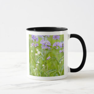 Wiese mit Penstemon-Wildblumen in der Tasse