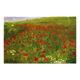 Wiese mit Poppies (1896) Merse Pál Szinyei Fotodruck