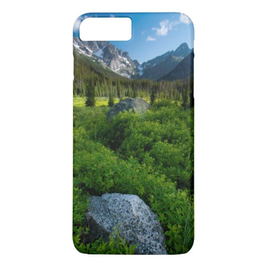 Wiese und Mt. Stuart Case-Mate iPhone Hülle (Rückseite)