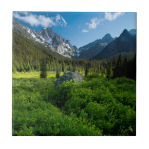Wiese und Mt. Stuart Fliese