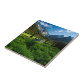 Wiese und Mt. Stuart Fliese (Seite)