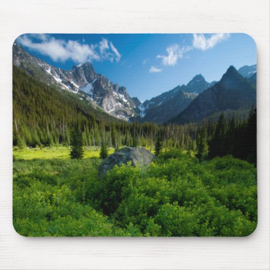 Wiese und Mt. Stuart Mousepad (Vorne)
