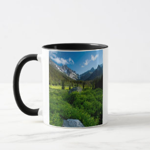 Wiese und Mt. Stuart Tasse