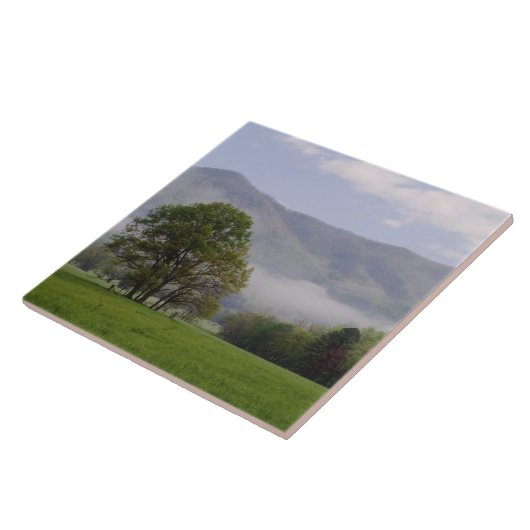 Wiese und Riesengebirge, Höhlenbucht, Fliese (Seite)